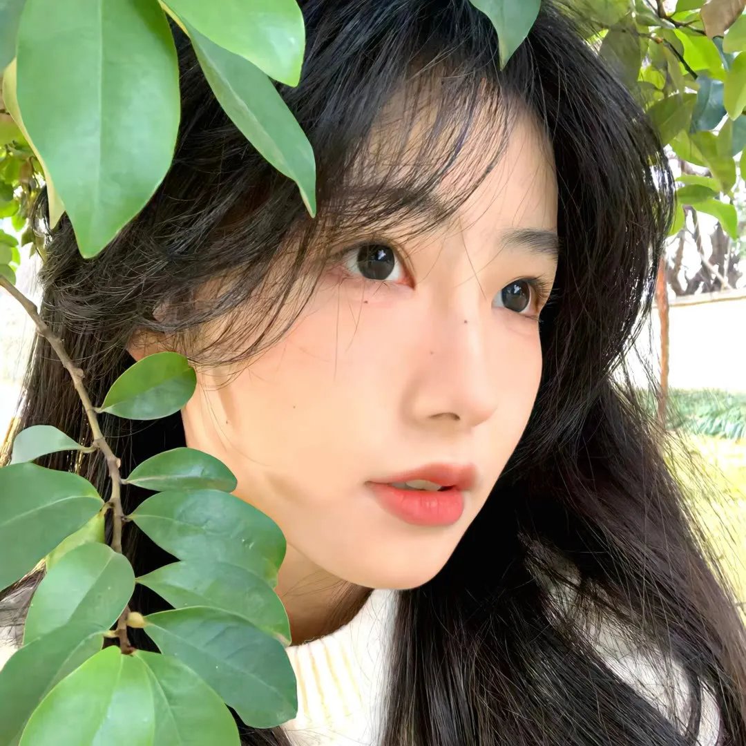 迷途的羔羊